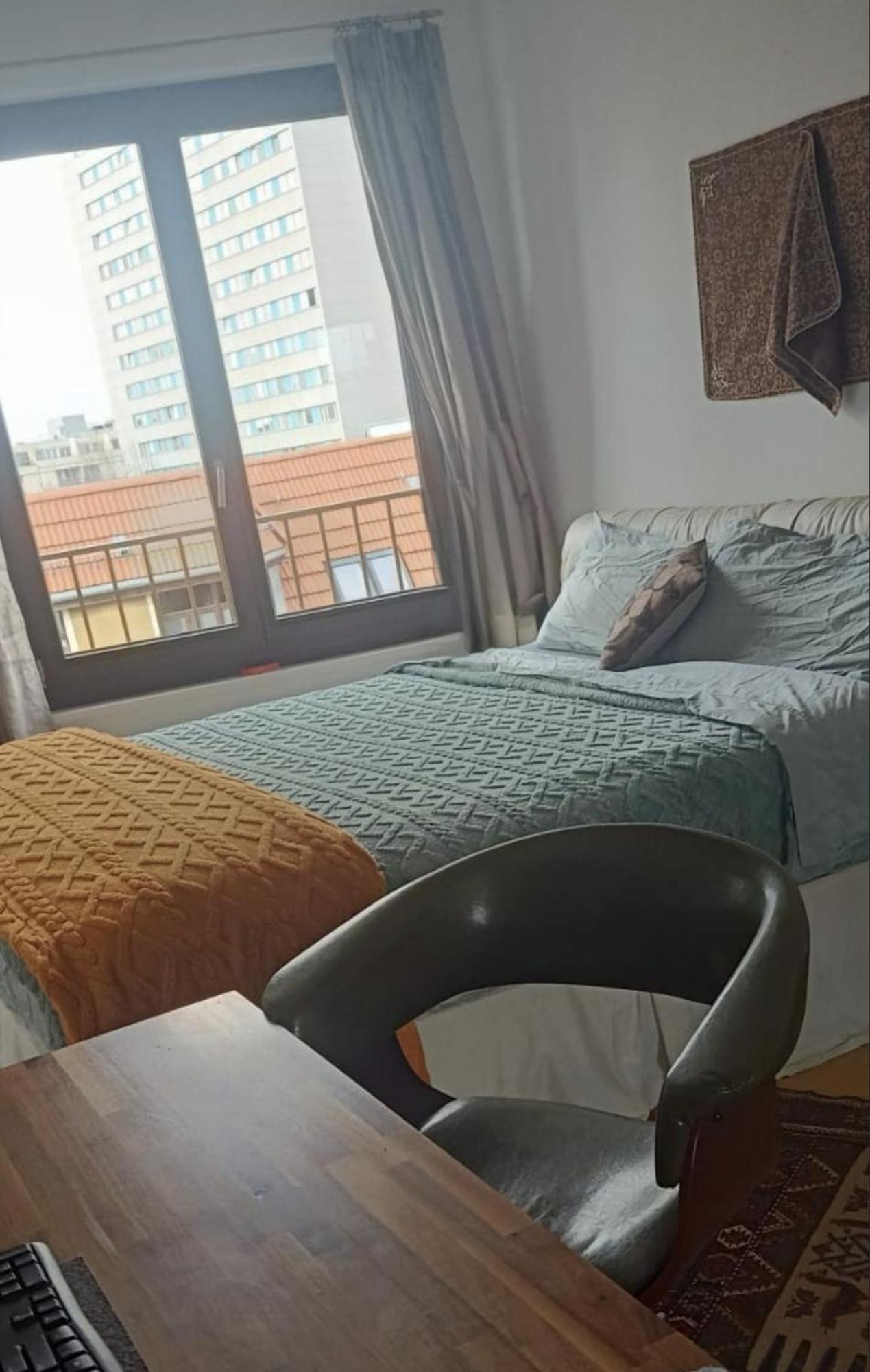Either Private 2b2b Or Shared 1b1b, Luxury, Bright, Spacious Apartment